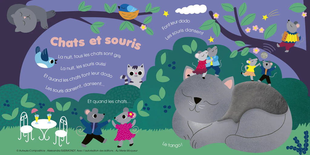 Mon livre sonore à toucher - Mes premières petites chansons de chatons