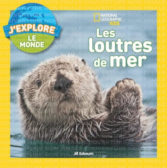 National Geographic kids - Les Loutres de mer