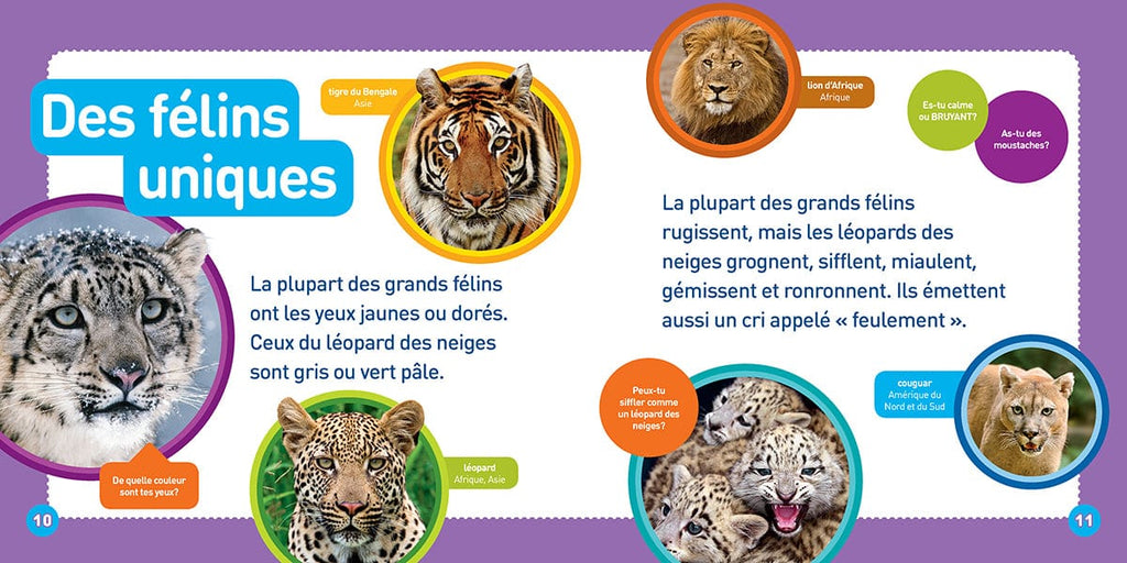 National Geographic kids - Les léopards des neiges