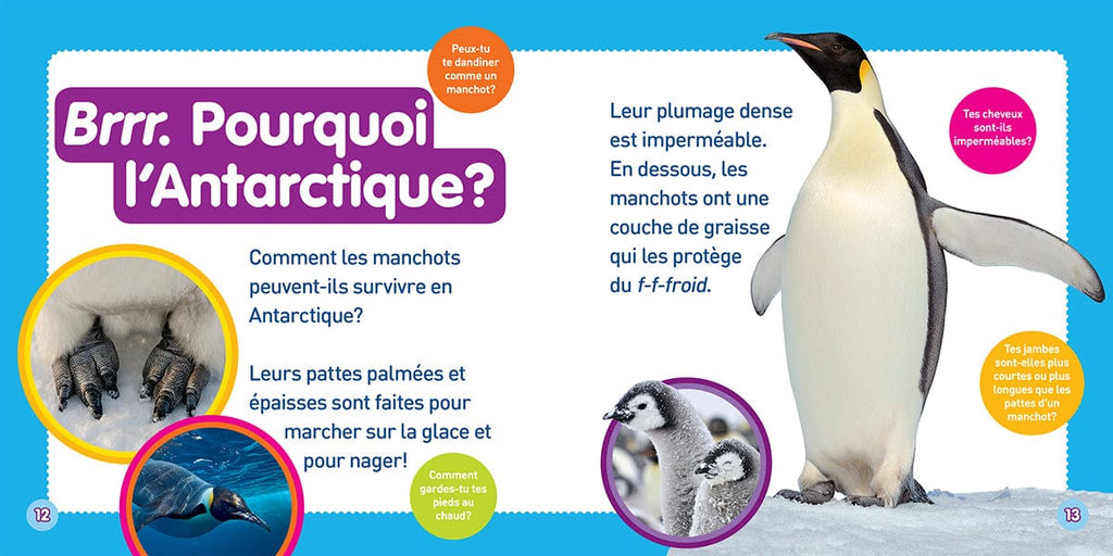 National Geographic kids - Les manchots