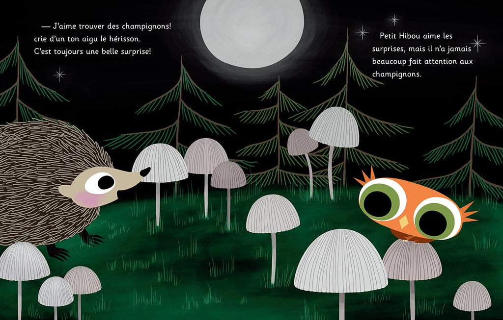 La douce forêt de Petit Hibou