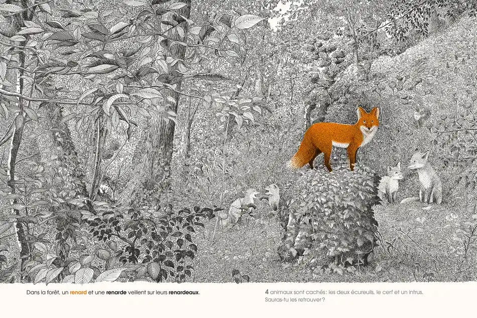Dans la forêt - Cherche et trouve 100 animaux