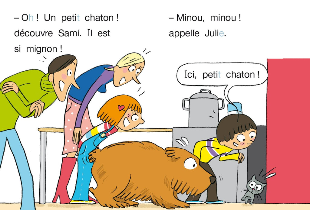 Un chat chez Sami et Julie