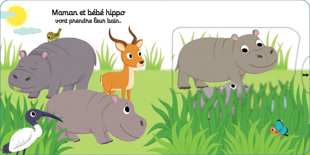 Kididoc - Au bain petit hippo !