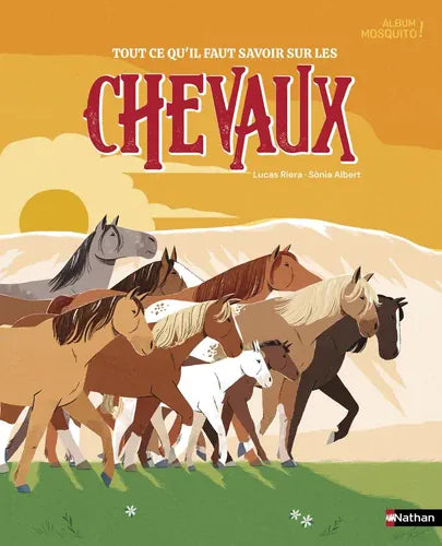 Tout ce qu'il faut savoir sur les chevaux