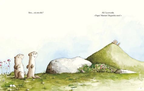 Petite marmotte a la bougeotte