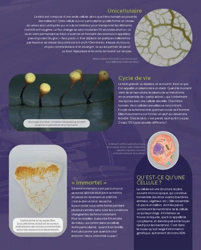 La grande imagerie - Blob et espèces étonnantes