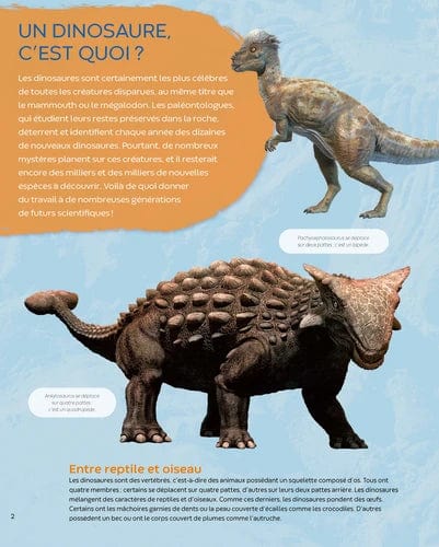 La grande imagerie - Défis nature - Les records des dinosaures