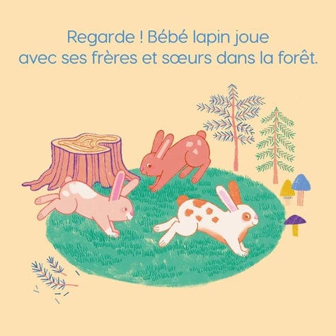 Petit doux - Bébé lapin
