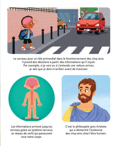 La petite imagerie - Les 5 sens