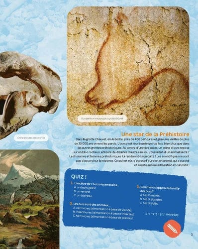 La grande imagerie - Défis nature - À la découverte des ours