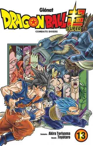 Dragon Ball Super T13 - Combats divers