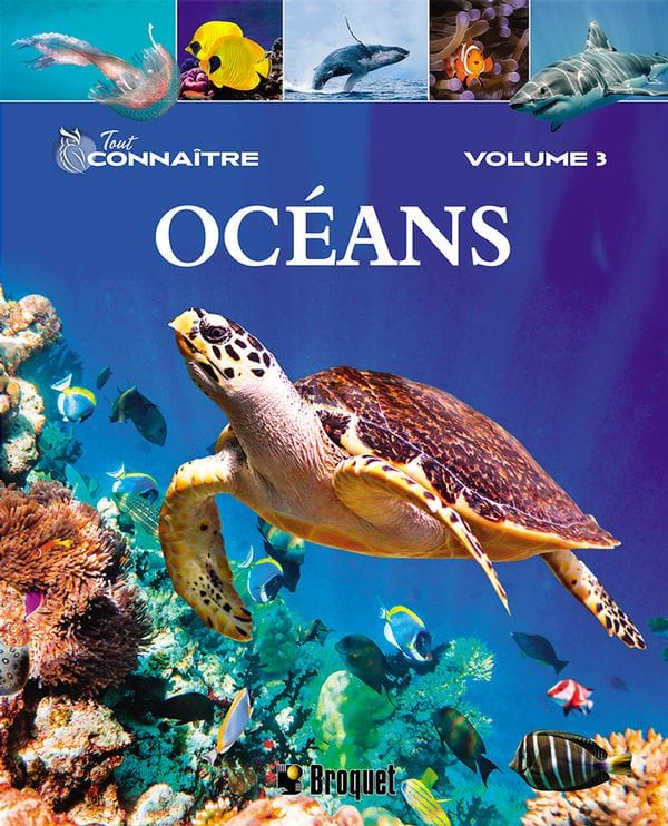 Tout connaître T03 - Les océans