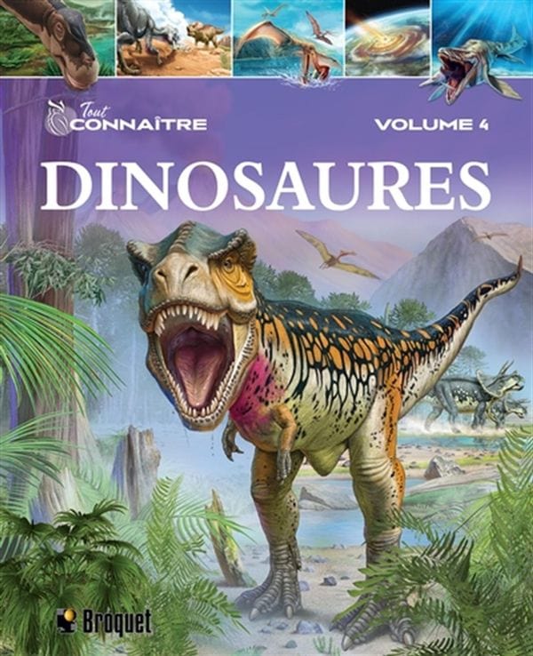 Tout connaître T04 - Dinosaures
