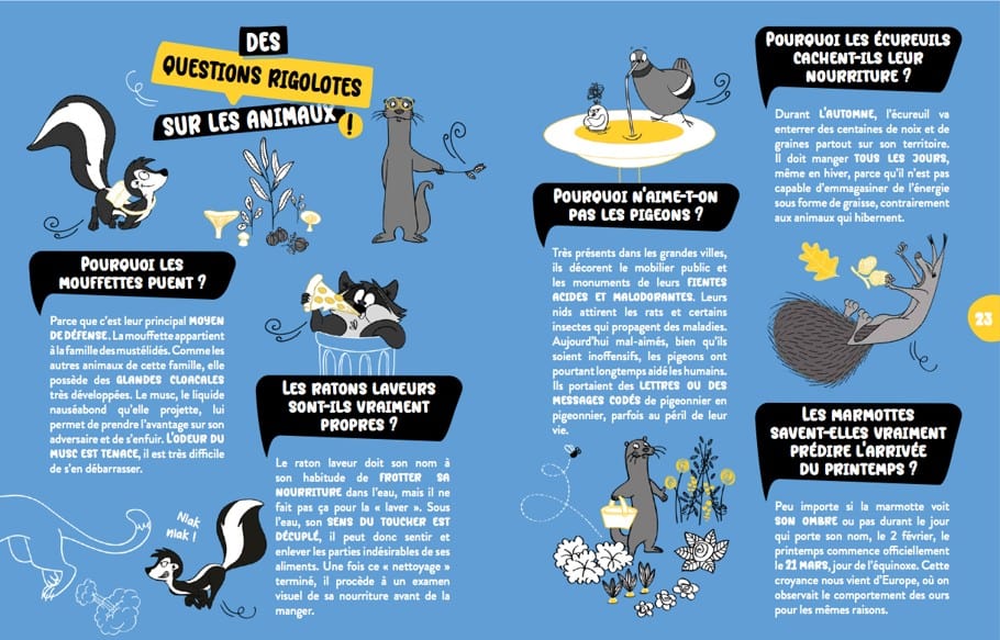 100 questions l'fun !