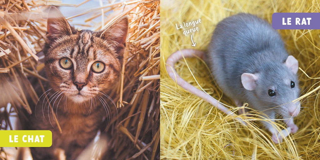 Mon premier doc photo - Les animaux de la ferme