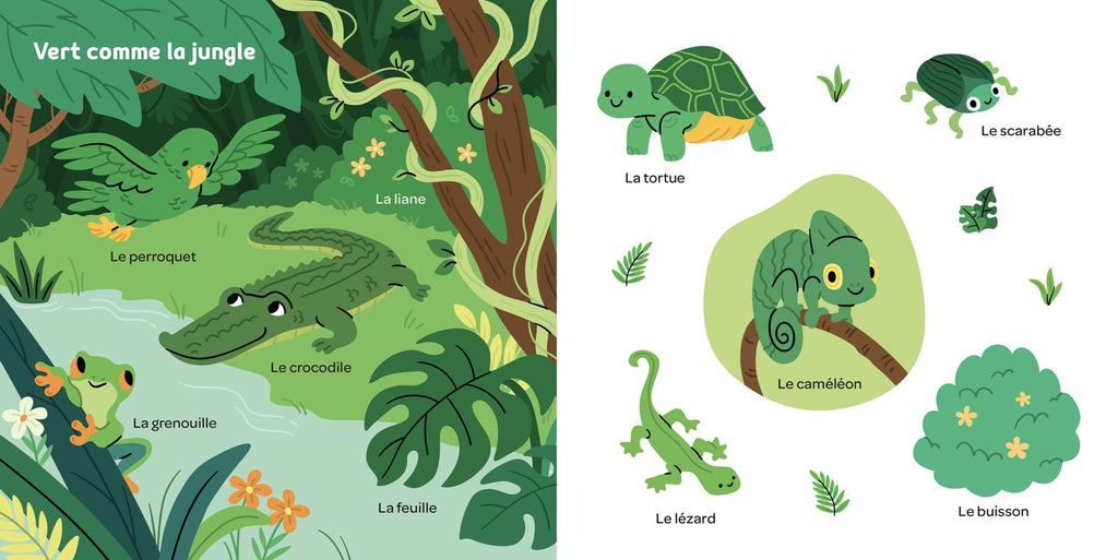 Mes 100 mots tout en couleurs