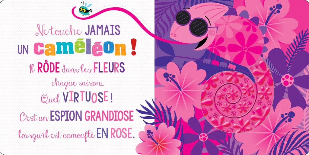 Ne touche jamais un zèbre !