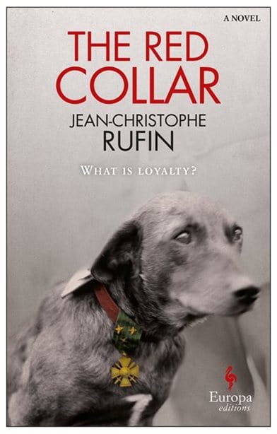 Red collar