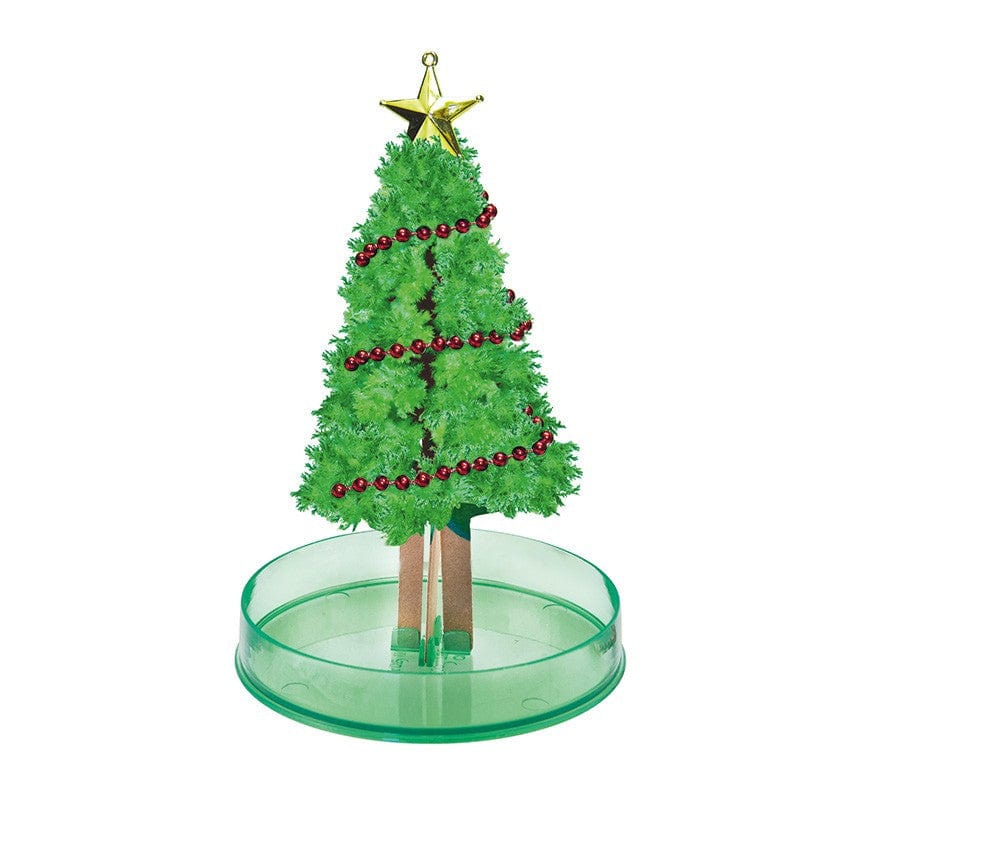Le sapin magique