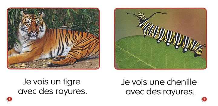 Je lis! sciences : Animaux 2