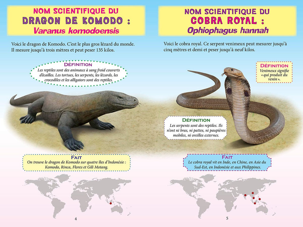 Qui va gagner? Le dragon de Komodo ou le cobra royal?