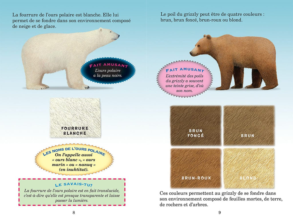 Qui va gagner? L'ours polaire ou le grizzly?