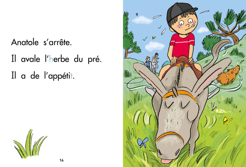 Sami à dos d'âne