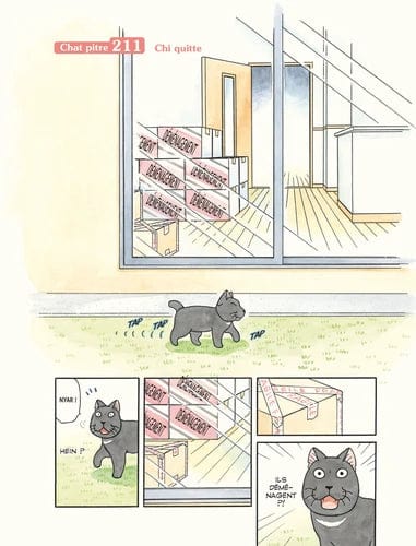 Chi une vie de chat T24