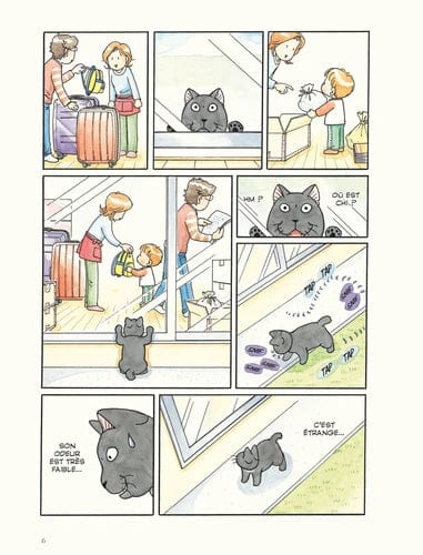 Chi une vie de chat T24