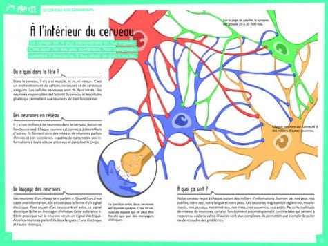 Parlons-en! Les épilepsies