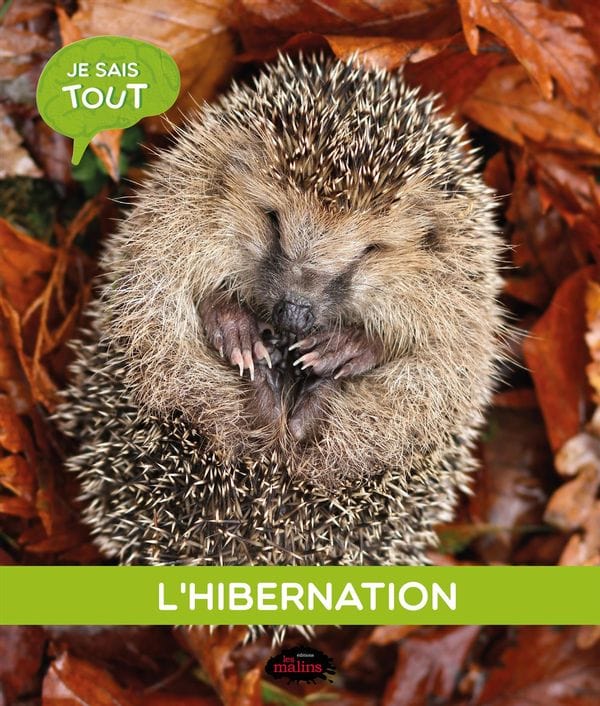 Je sais tout - L'hibernation