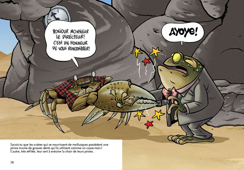 Savais-tu? En couleur T55 - Les crabes