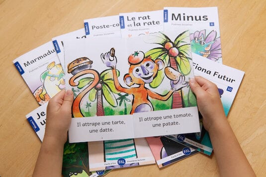 Ensemble Facile à lire - Poèmes bizarres - Niveau 1