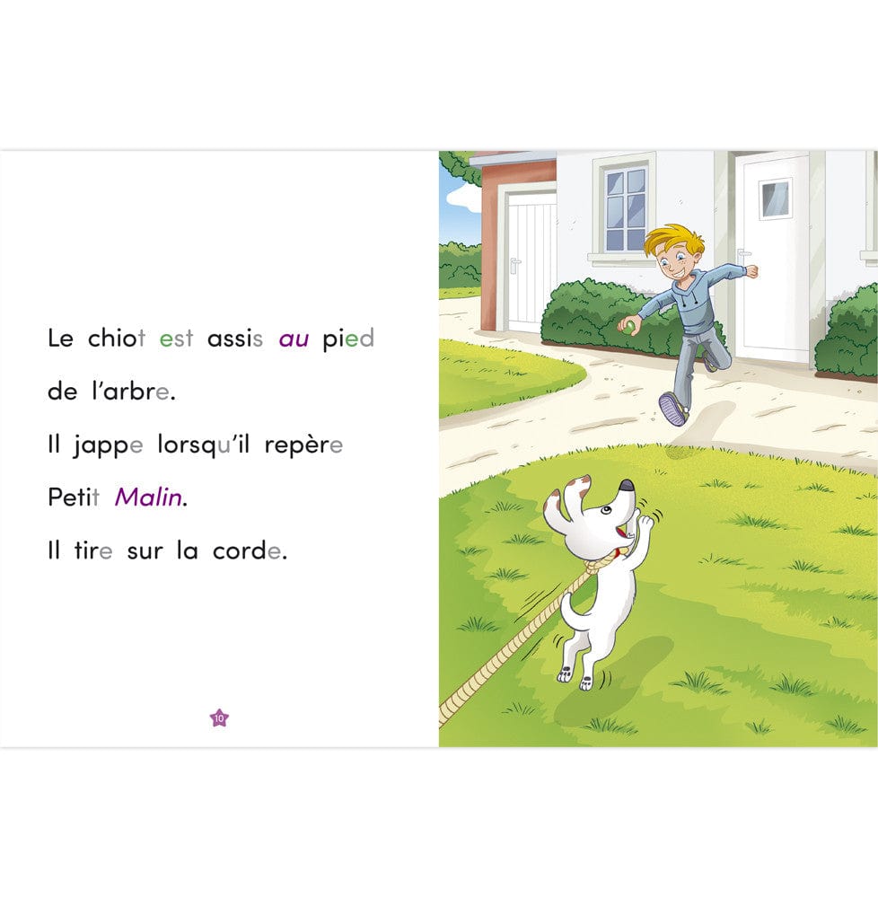 Un ami fidèle