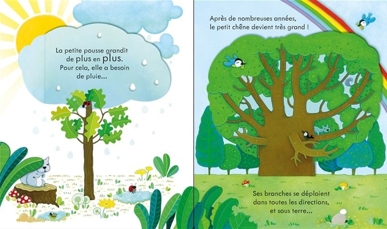 Coucou ! L'arbre