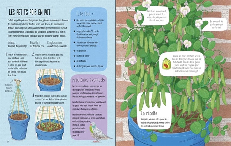 Je cultive mon potager