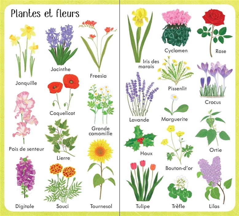 199 images du jardin