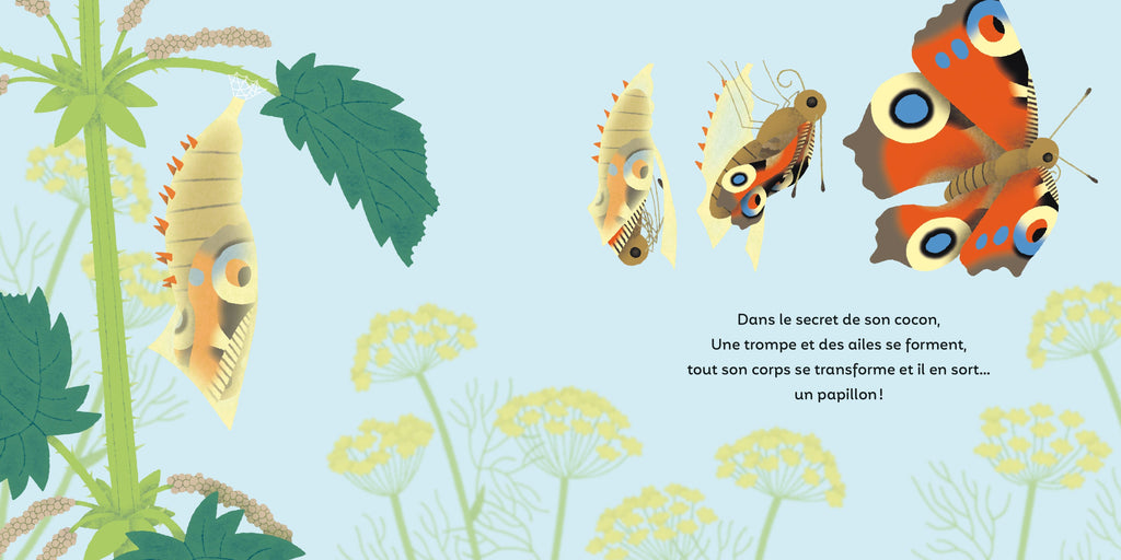 Les P'tits papillons