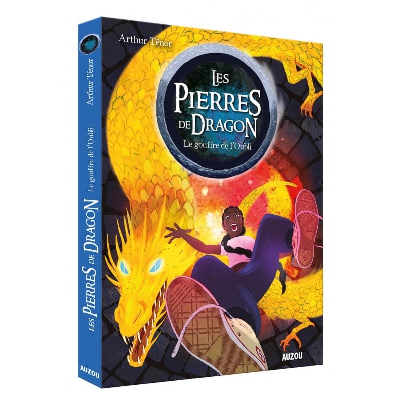 Les pierres de dragon T02 - Le gouffre de l'Oubli