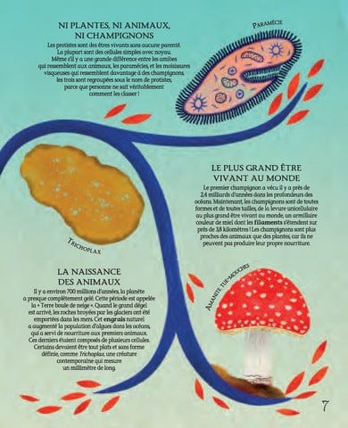 Darwin - L'origine des espèces
