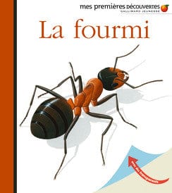 Mes premières découvertes - La fourmi