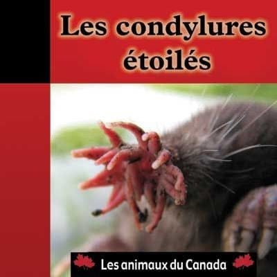 Les animaux du Canada - Les condylures étoilés