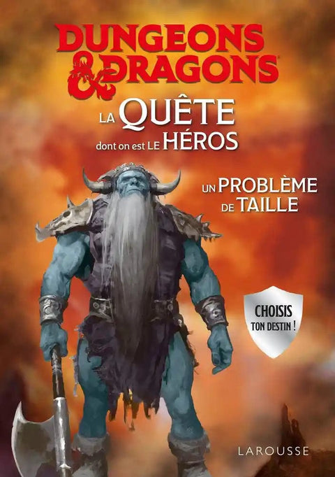 Dungeons & Dragons - La quête dont on est le héros - Un problème de taille
