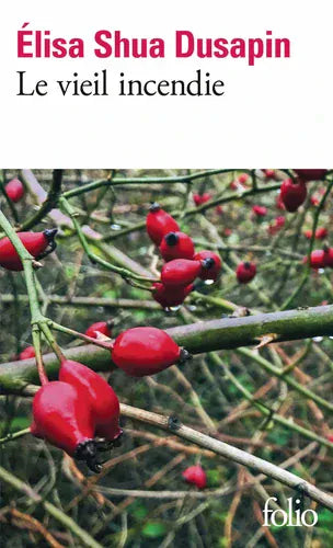 Le vieil incendie