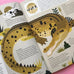 Crocodiles