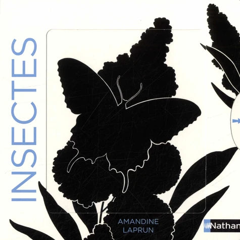 Les belles couleurs - Insectes