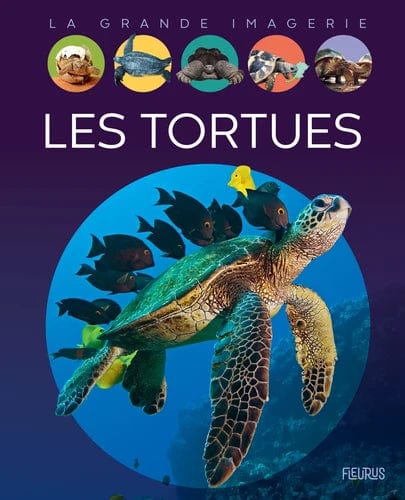 La grande imagerie - Les tortues