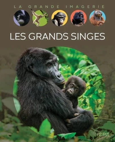 La grande imagerie - Les grands singes