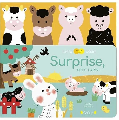Livre câlin - Surprise, petit lapin !